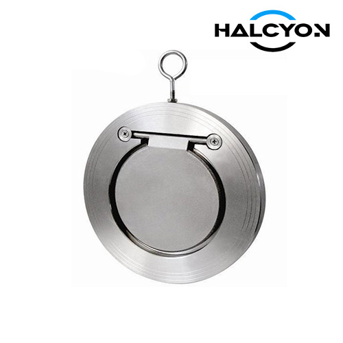 Marine Flap Check Valve